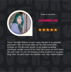 DONGOODS® Toiletblokjes Voor Inbouwreservoirs – WC-blokjes – Toiletblokken In Een Voordeelverpakking – 12 Stuks -Dagelijkse Benodigdheden Winkel 1197x1200 3