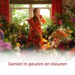 Robijn Klein & Krachtig Rosé Chique Vloeibaar Wasmiddel - 8 X 19 Wasbeurten - Voordeelverpakking -Dagelijkse Benodigdheden Winkel 1200x1200 44