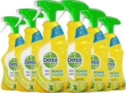Dettol - Power & Fresh - Allesreinger Spray - Citrus - 6 X 500 Ml -Dagelijkse Benodigdheden Winkel 1200x885